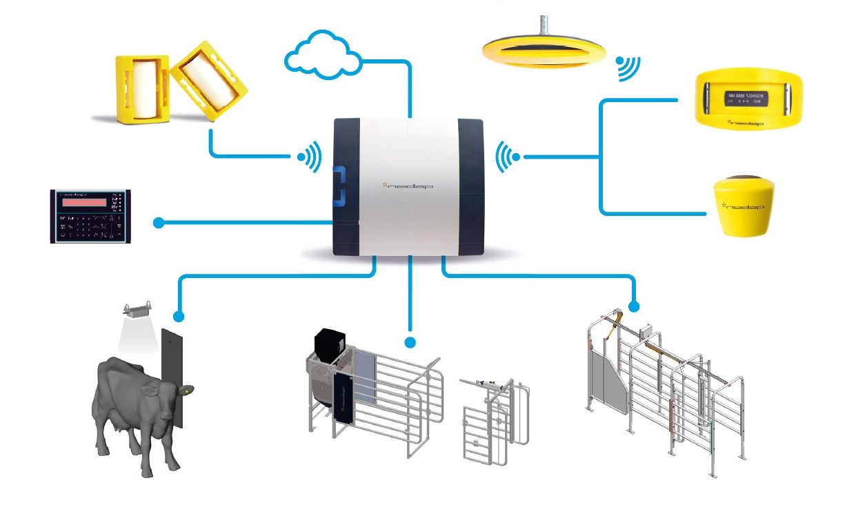 Dairy system