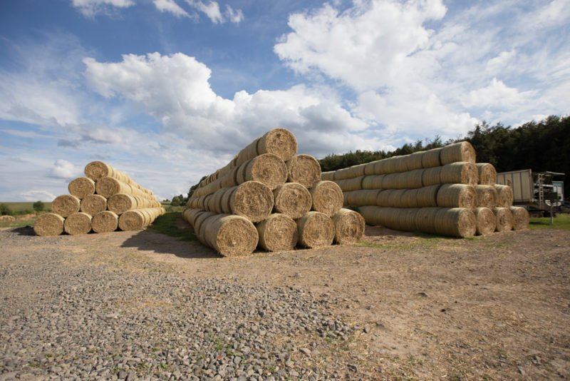 Andrea Rahn Farr - Stack of hay