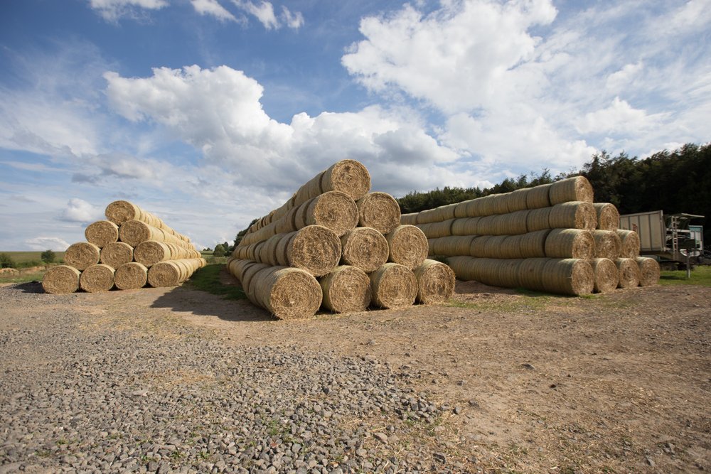 Andrea Rahn Farr - Stack of hay