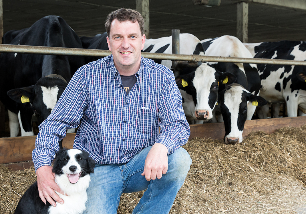 Nedap customer Schröder and his cows